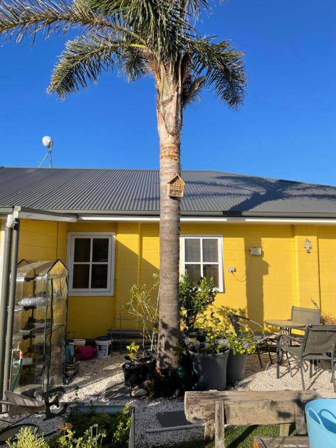Ki Dragonfly Guesthouse كنغزسكوت المظهر الخارجي الصورة